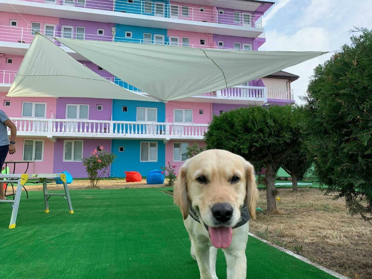 Casa Barbie Costinesti Hostel ภายนอก รูปภาพ